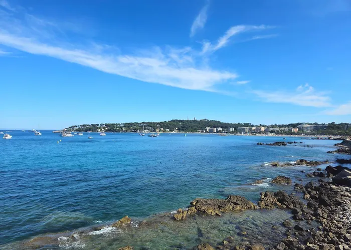 2 Pieces Au Coeur Du Vieil Daire Antibes